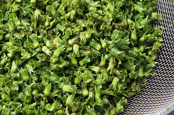 食感が楽しい、青しその実入り