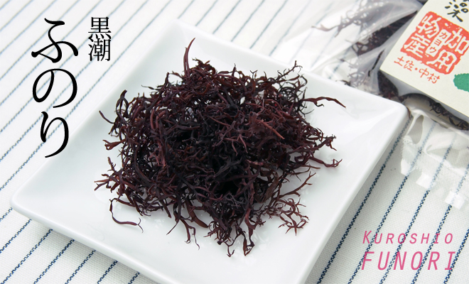 黒潮の傑作、黒潮ふのり
