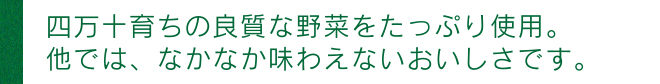 四万十育ちの野菜をたっぷり使用